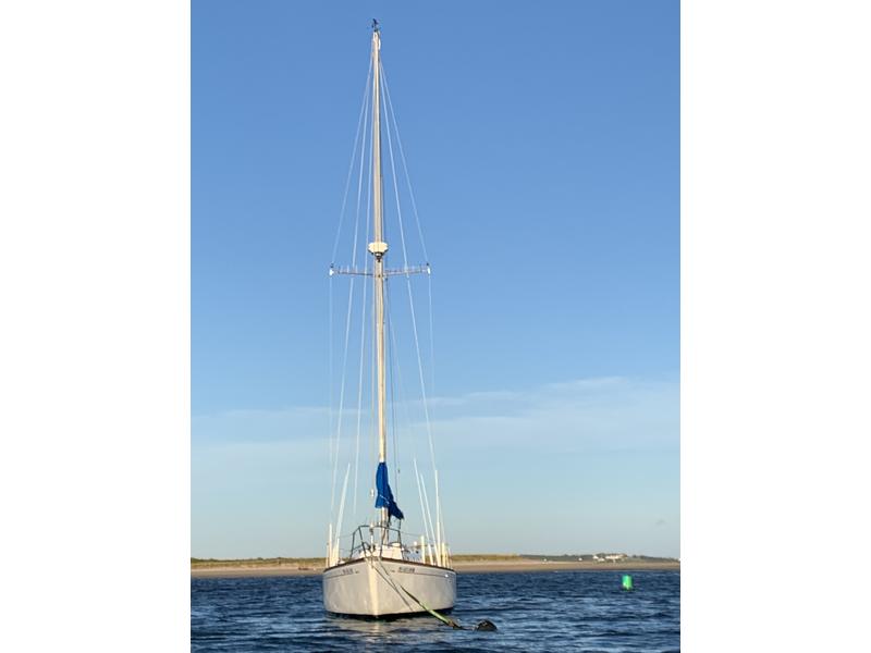 m34 sailboat for sale