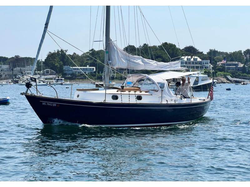 Vineyard Vixen 29