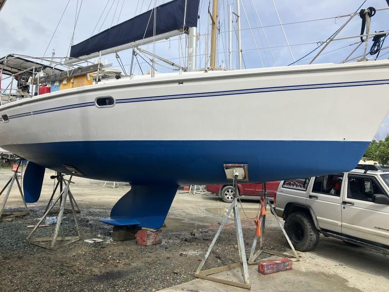 Catalina 310