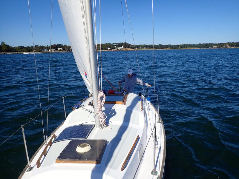 irwin 25 sailboat for sale