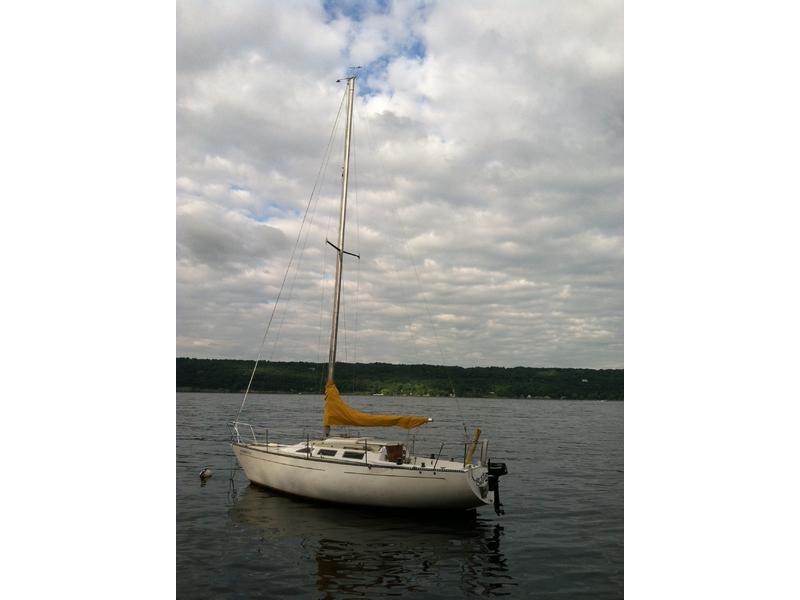 sailboat stormvogel