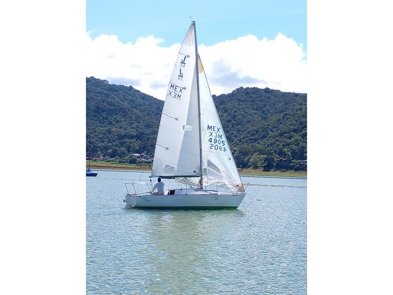 buy j24 sailboat