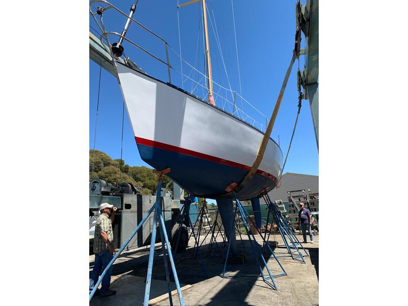 santana 35 sailboat for sale