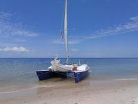 SOLD     Homemade Woods Catamarans SOLD    Strider/Shadow Click to launch Larger Image