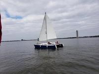 SOLD     Homemade Woods Catamarans SOLD    Strider/Shadow Click to launch Larger Image