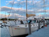 Cape Dory Pilothouse MS Click to launch Larger Image