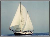 Custom Built Steel Ketch 1898  Click to launch Larger Image