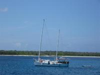 Cat Ketch Corporation Herreshoff Cat Ketch 31 Click to launch Larger Image